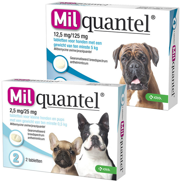 Milquantel Entwurmungstabletten für den Hund Brekz.de