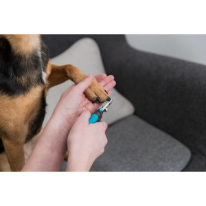 Nagelknipser klein für Hunde