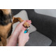 Nagelknipser klein für Hunde
