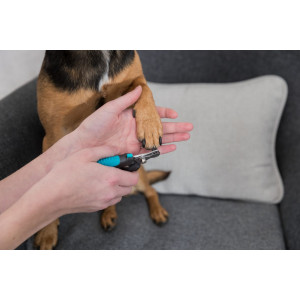 Nagelknipser klein für Hunde