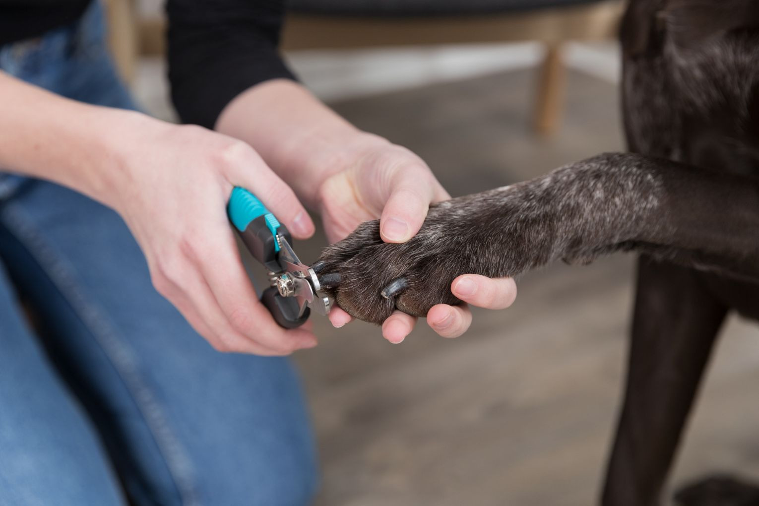 Krallenschere für Hunde - groß