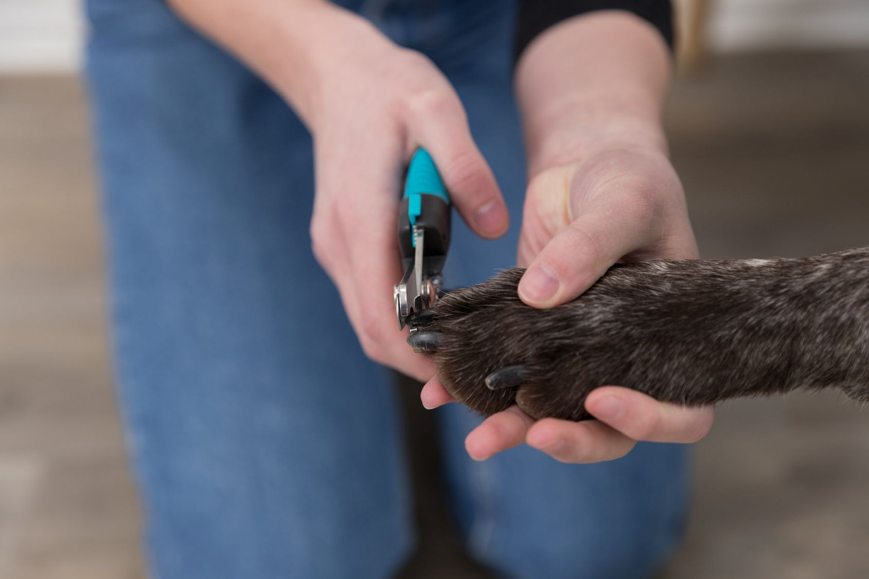 Krallenschere für Hunde - groß