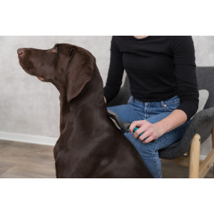 Pflegebürste für Hunde und Katzen - Groß