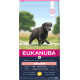 Eukanuba Senior Large Breed Huhn Hundefutter