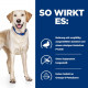 Hills Prescription D/D Food Sensitivities Hundefutter mit Ente & Reis