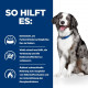 Hill's Prescription I/D (i/d) Sensitive Digestive Care mit Ei Reis Hundefutter