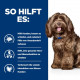 Hill's Prescription B/D Ageing Alertness Care Hundefutter