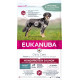 Eukanuba Daily Care Monoprotein Lachs Hundefutter