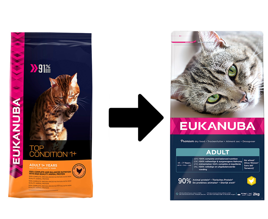 Eukanuba Adult Huhn Katzenfutter