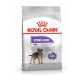 Royal Canin Mini Sterilised Hundefutter