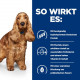 Hill's Prescription Diet Z/D Food Sensitivities Hundefutter