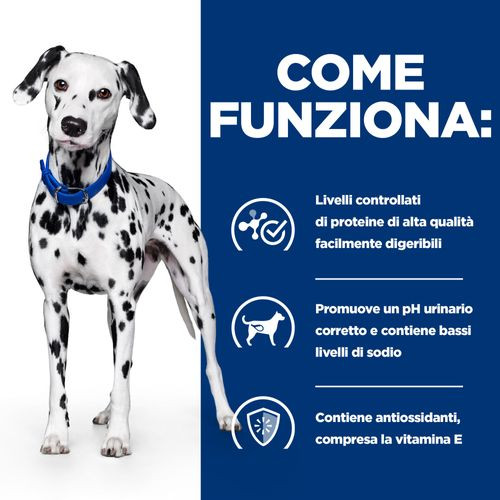 Hill's Prescription Diet U/D Urinary Care Nassfutter für Hunde (Dose)