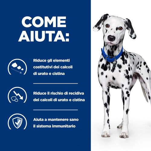 Hill's Prescription Diet U/D Urinary Care Nassfutter für Hunde (Dose)