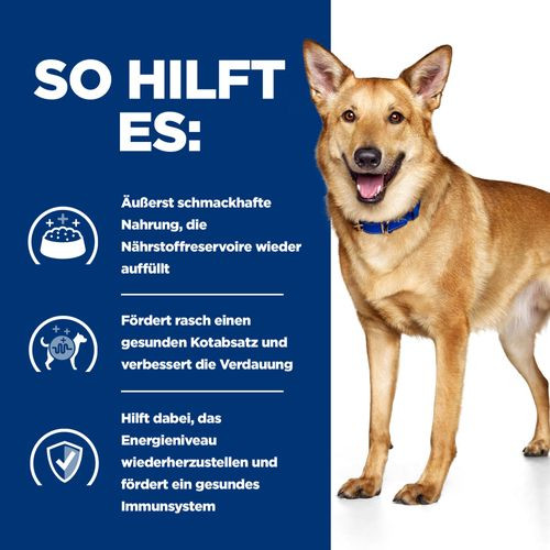 Hill's Prescription I/D (i/d) Digestive Care mit Truthahn Hundefutter 360g Dosen
