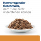 Hill's Prescription K/D Kidney Care Katzen-Nassfutter Lachs