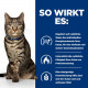 Hill's Prescription Metabolic Weight Management Katzen-Nassfutter 85g