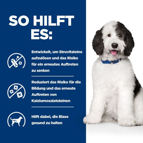 Hill's Prescription C/D Multi Urinary Care Eintopf 354 g Dosen Hundefutter