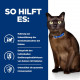 Hill's Prescription M/D Diabetes/Weight Management Katzen-Nassfutter