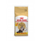 Royal Canin Adult Perserkatze Katzenfutter