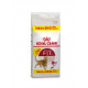 Royal Canin Fit 32 Katzenfutter