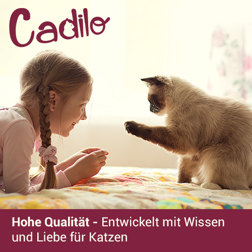 Cadilo Adult Fit kattenvoer