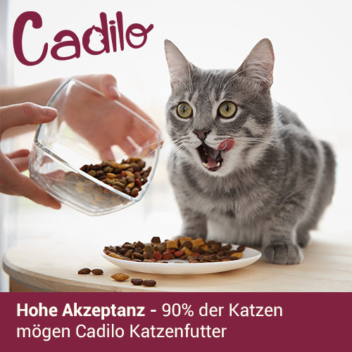 Cadilo Sterilized Light kattenvoer