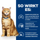 Hill's Prescription C/D Multicare Urinary Care mit Lachs Katzen-Nassfutter (Frischebeutel)