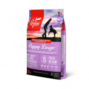 Orijen Puppy Large Hundefutter 2 x 11,4 kg