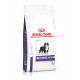 Royal Canin Expert Neutered Junior Large Dogs Hundefutter