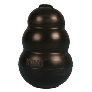 Kong Taglia M per cane