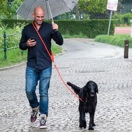 H5D Leisure Clic Schouderlijn voor de hond