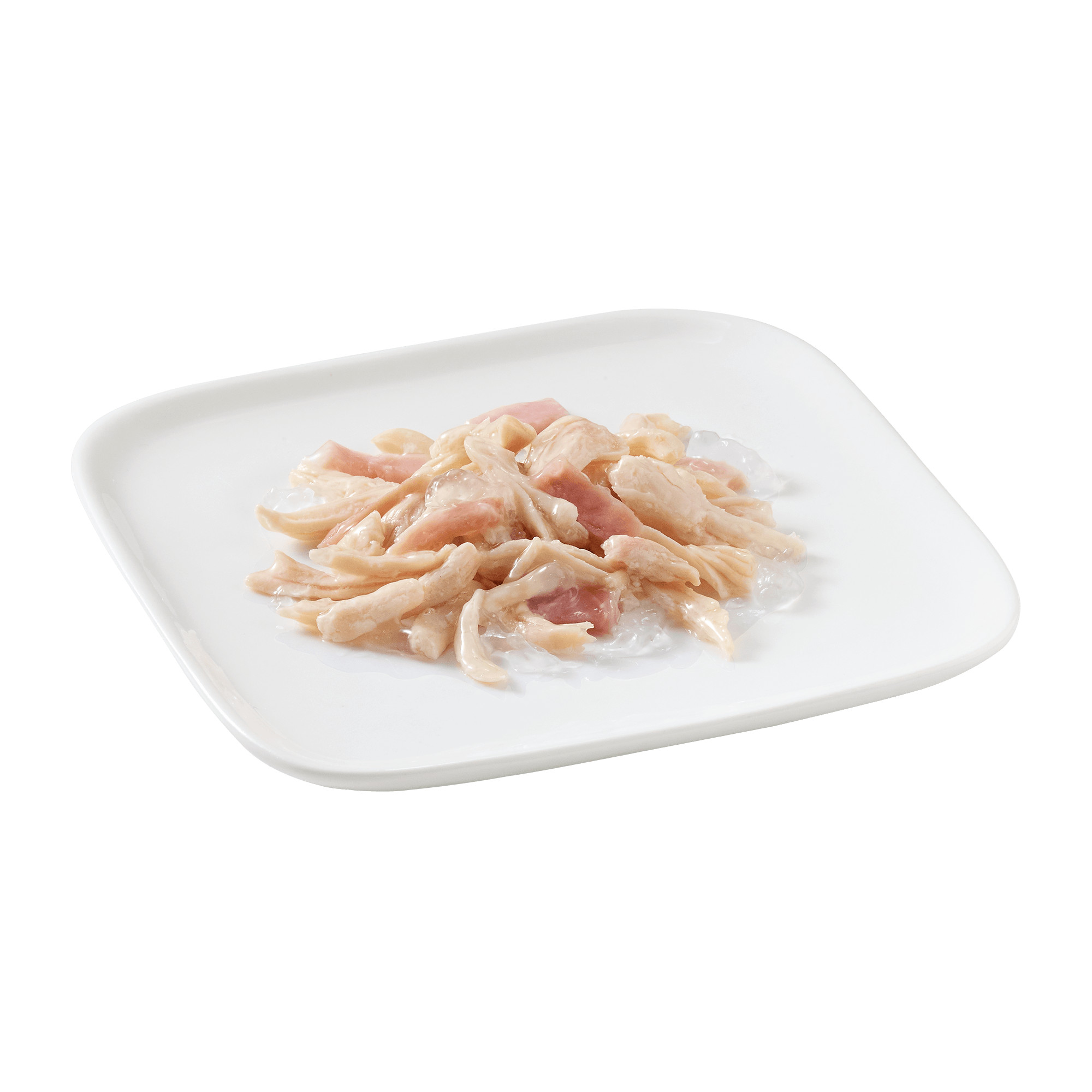 Schesir Huhn mit Rind Hundefutter