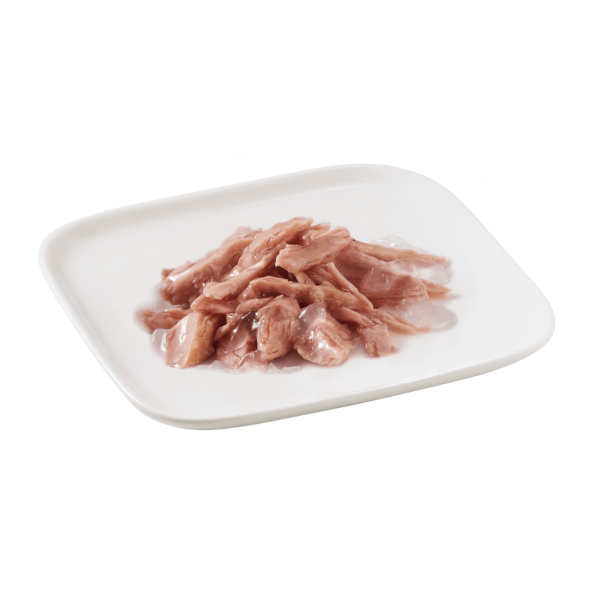 Schesir Thunfisch Nassfutter für Hunde