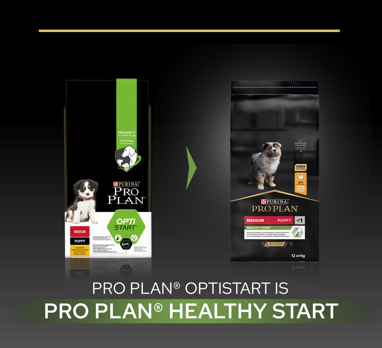 Pro Plan Medium Puppy Healthy Start mit Huhn Hundefutter