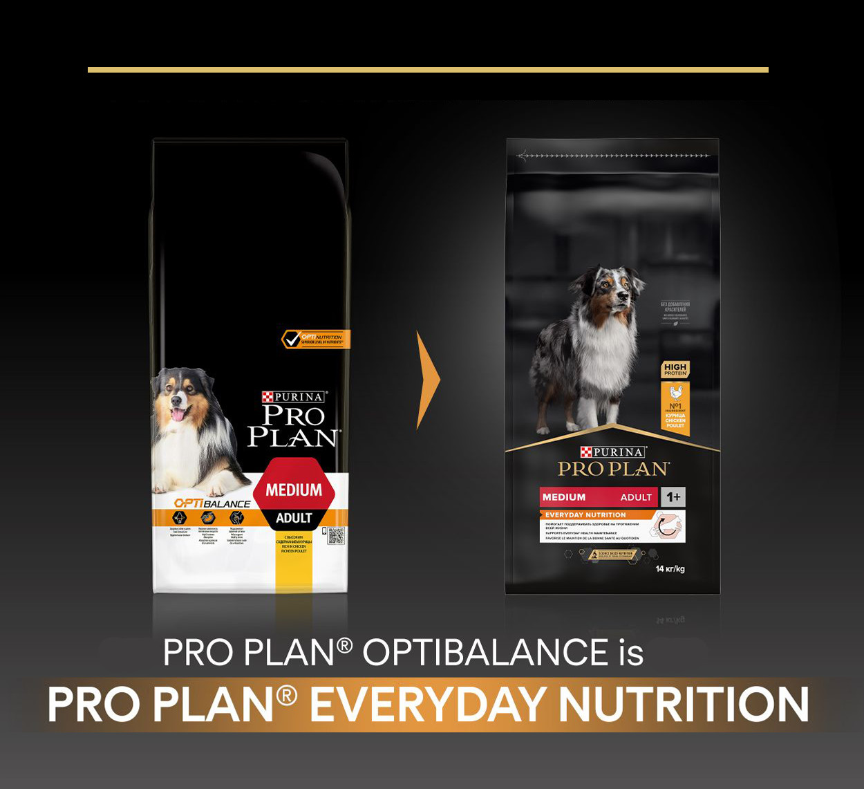 Proplan Adult Kip Hondenvoer