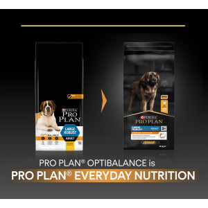 Pro Plan Large Robust Adult Everyday Nutrition mit Huhn Hundefutter