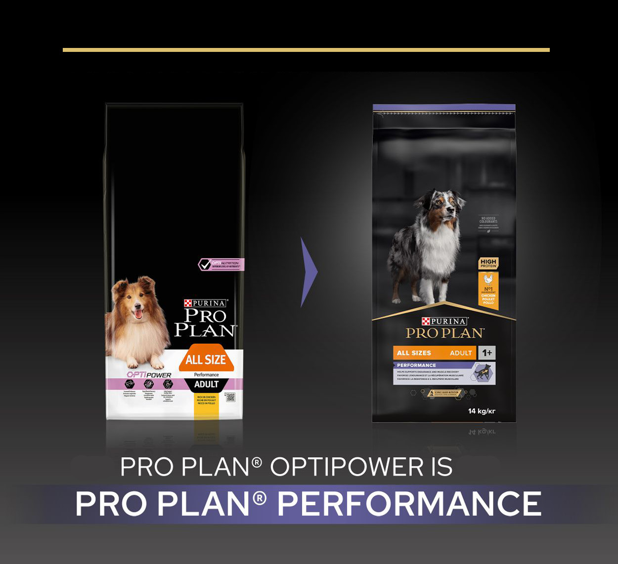 Pro Plan Adult Performance mit Huhn Hundefutter