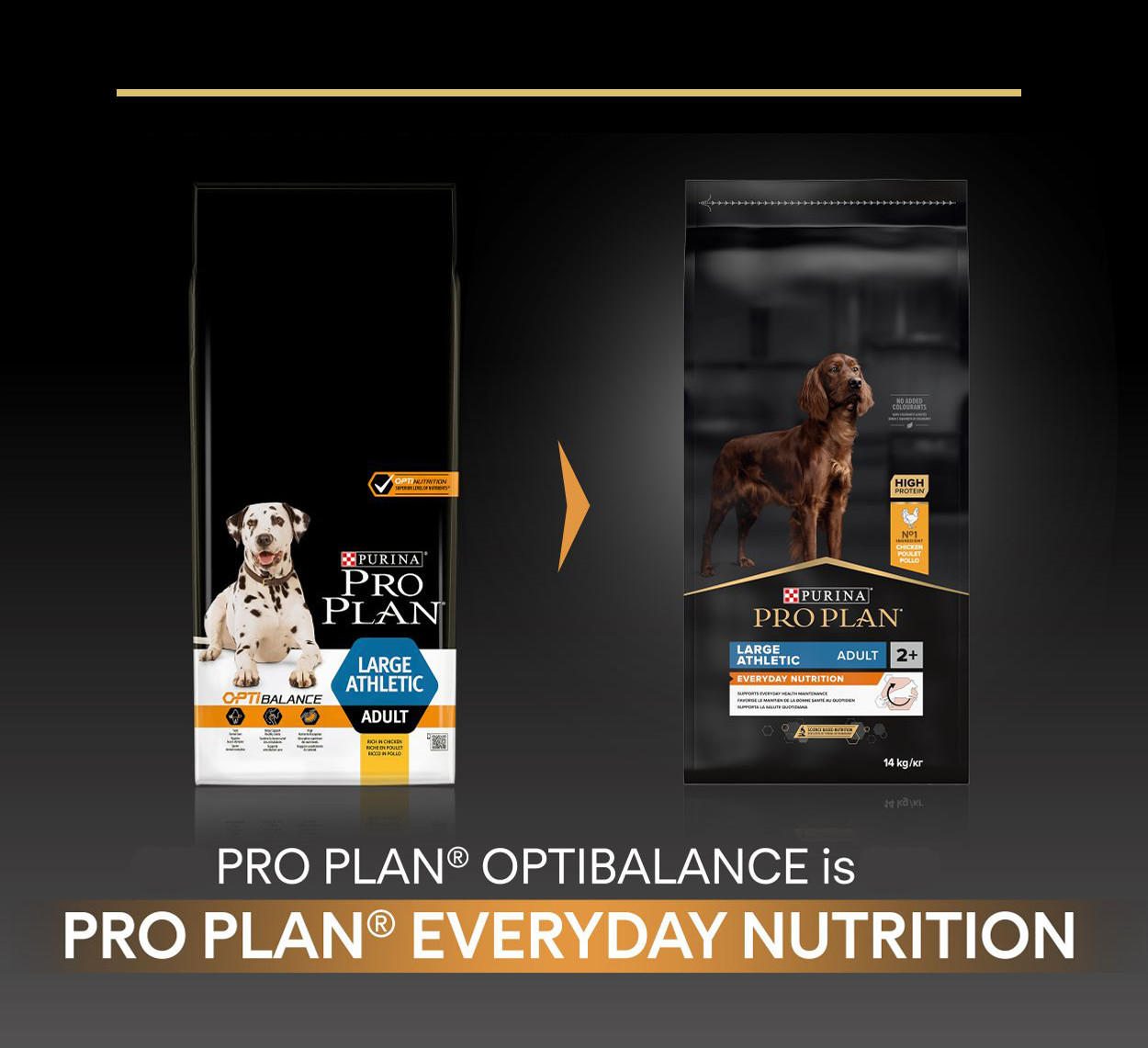Pro Plan Adult Large Athletic mit Huhn Optibalance Hundefutter