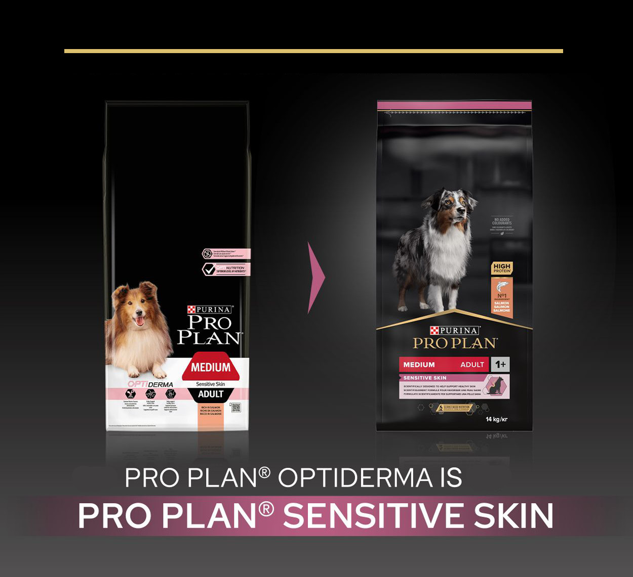 Pro Plan Optiderma Adult Medium Sensitive Skin Hundefutter