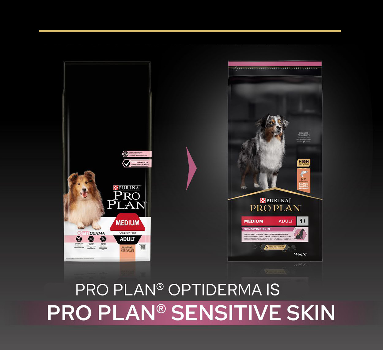 Pro Plan Optiderma Adult Medium Sensitive Skin Hundefutter | Günstig