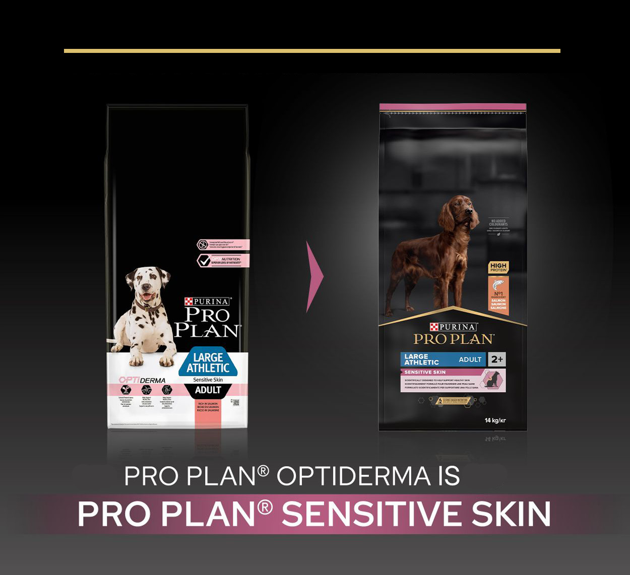 Pro Plan Large Athletic Adult Sensitive Skin mit Lachs Hundefutter