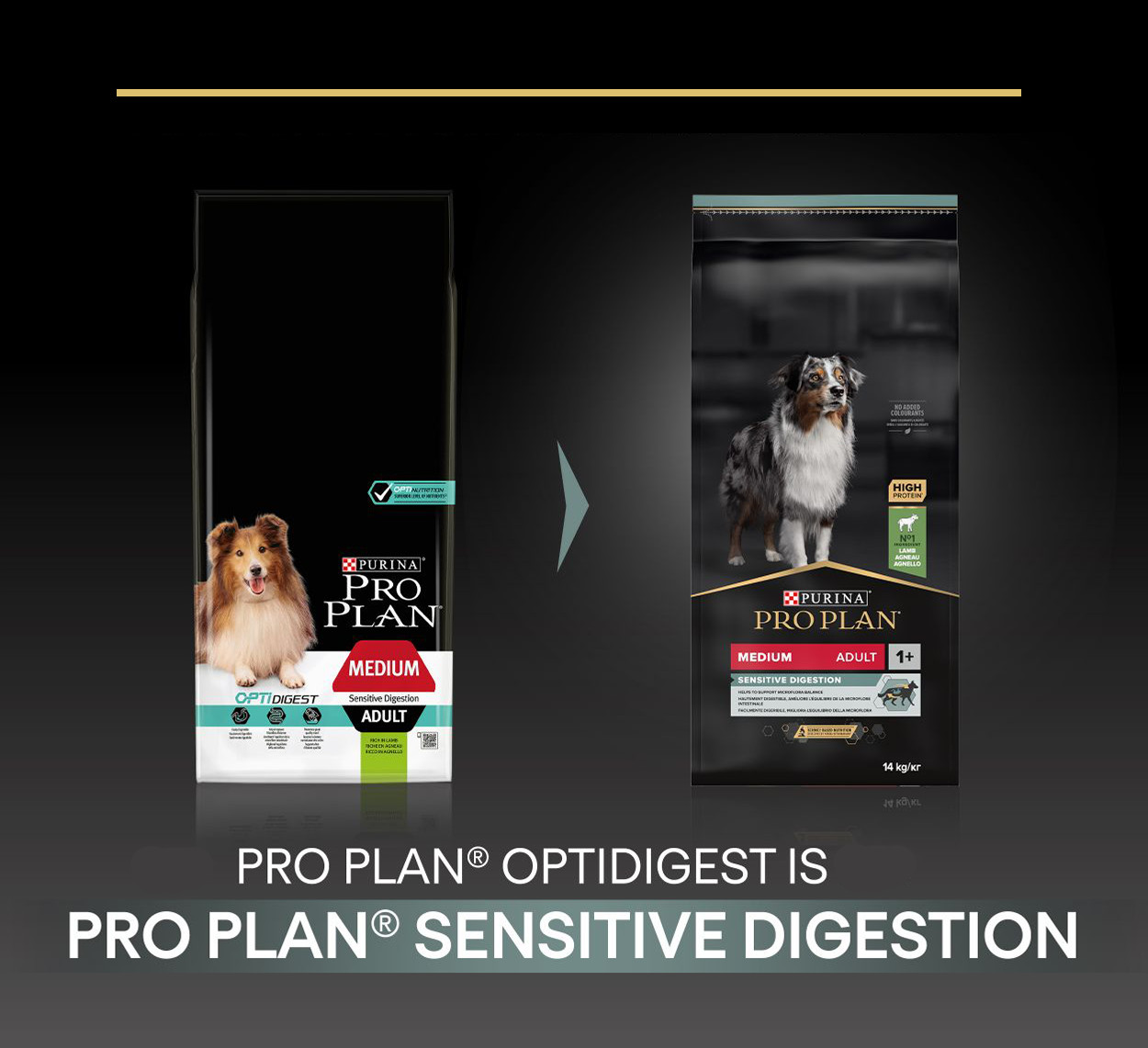 Pro Plan Optidigest Medium Adult Sensitive Digestion Lamm Hundefutter