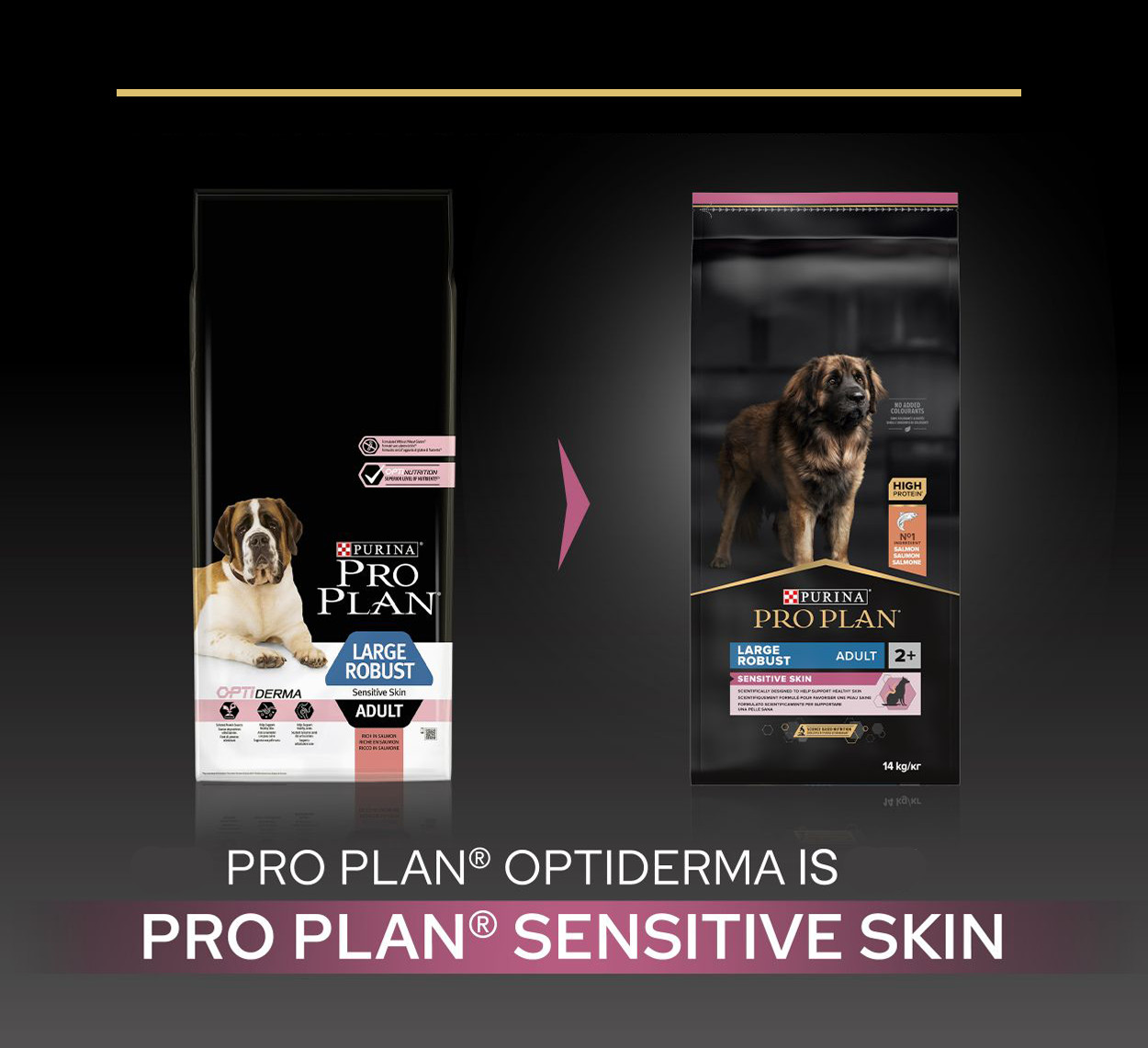 Pro Plan Large Robust Adult Sensitive Skin mit Lachs Hundefutter