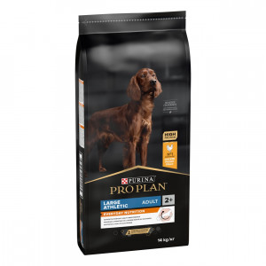 hundespielzeug intelligenz Schnüffelteppich Intelligenzspielzeug für Hunde main image 1