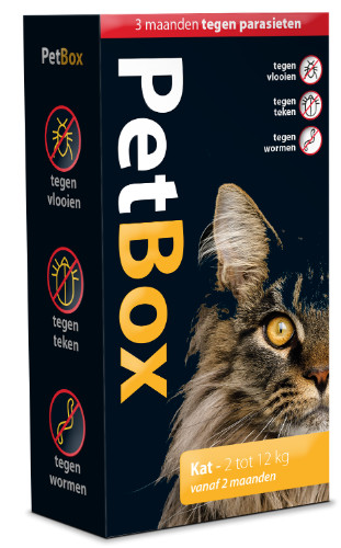 PetBox Kitten