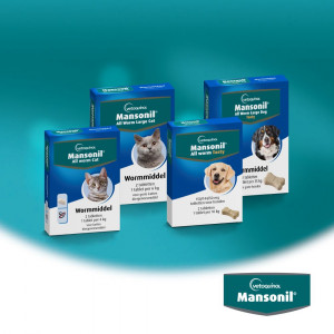 Mansonil All Worm Cat für die Katze