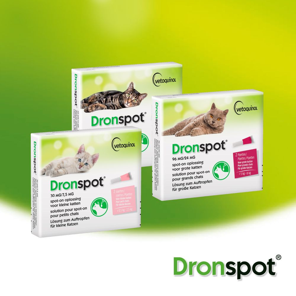 Dronspot 96 mg/24 mg Spot-on oplossing voor katten (5- 8 kg)