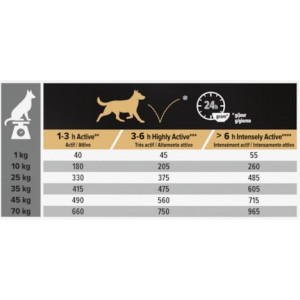 Pro Plan Adult Performance mit Huhn Hundefutter
