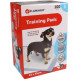 Puppy Trainingsmatte S