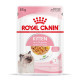 Royal Canin Kitten Nassfutter in Gelee für Kätzchen (85 g)